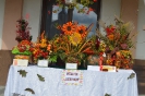 III Jesienny Piknik Środowiskowych Domów Samopomocy