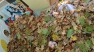 Jesienna pogoda zmienną jest_14