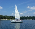Róża Wiatrów Przemyśl _2