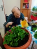 Ergo i silvoterapia w ŚDS_15