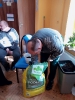 Trening umiejętności praktycznych- Malczewskiego_1