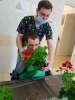 Zajęcia z silwoterapii, Filia ŚDS_5