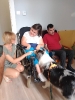 Dogoterapia_1