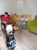 Dogoterapia