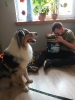 Dogoterapia_4