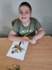 Dzień drzewa_12