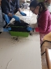Ergo i Silwoterapia_2
