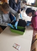 Ergo i Silwoterapia_4