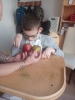 Szarlotka_5