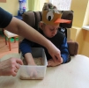 Kolorowe ptaszki na przedwiośniu_15