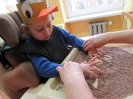 Kolorowe ptaszki na przedwiośniu_18