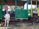 radawskie manewry_4