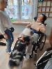 Dogoterapia_2