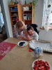 Owocowy maj_1
