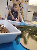 Zabawy sztuką - dzień drzewa