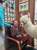 Alpakoterapia_2