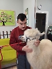 Alpakoterapia_5