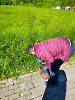 Zajęcia proekologiczne_6