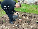 Warzywny ogródek_2